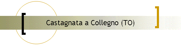 Castagnata a Collegno (TO)