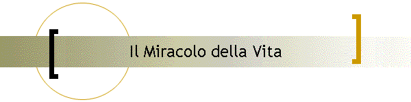 Il Miracolo della Vita
