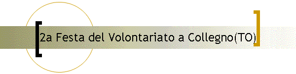 2a Festa del Volontariato a Collegno(TO)