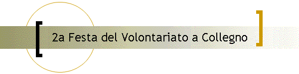 2a Festa del Volontariato a Collegno