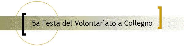 5a Festa del Volontariato a Collegno