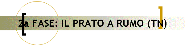 2a FASE: IL PRATO A RUMO (TN)