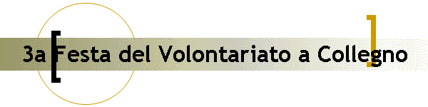 3a Festa del Volontariato a Collegno