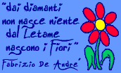  dal letame che nascono i fiori!